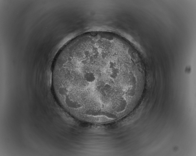 X0000102021221200808081740