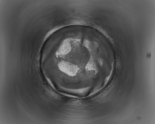 X0000102021222200808081740