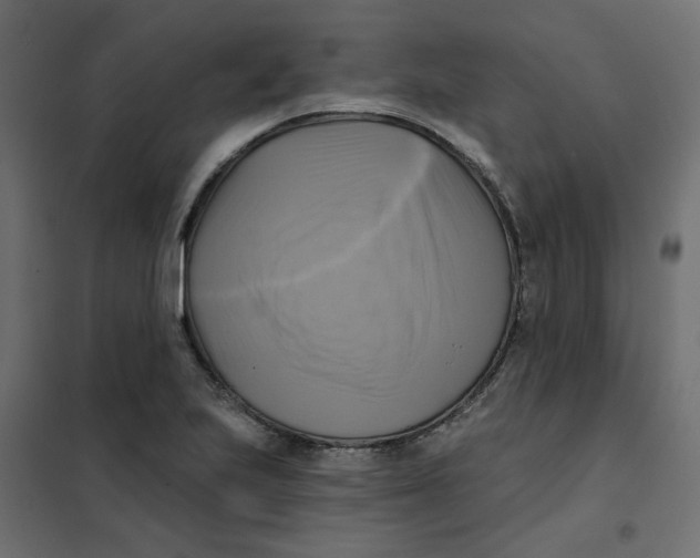 X0000102021223200808081740