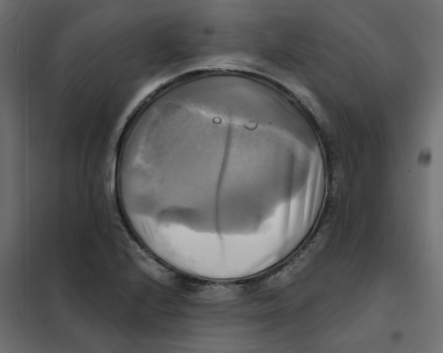 X0000102021224200808081740