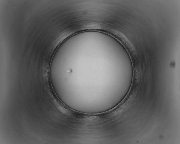 X0000102021225200808081740