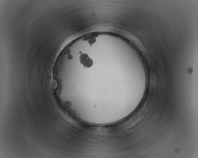 X0000102021226200808081740