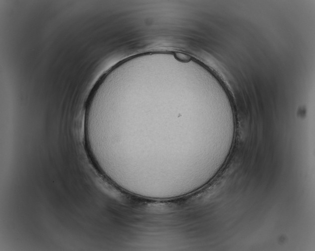 X0000102021227200808081740