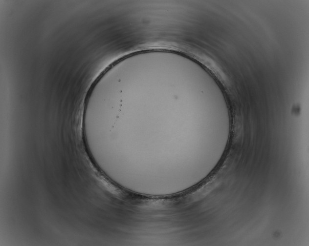 X0000102021228200808081740