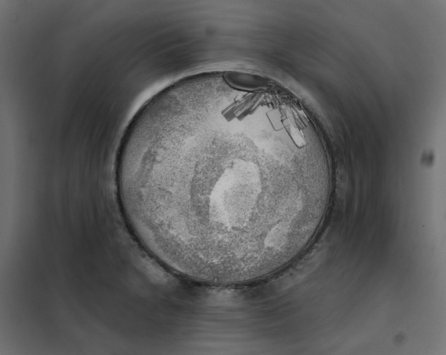 X0000102021230200808081740