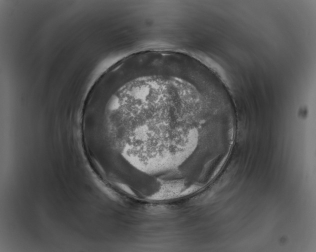 X0000102021231200808081740