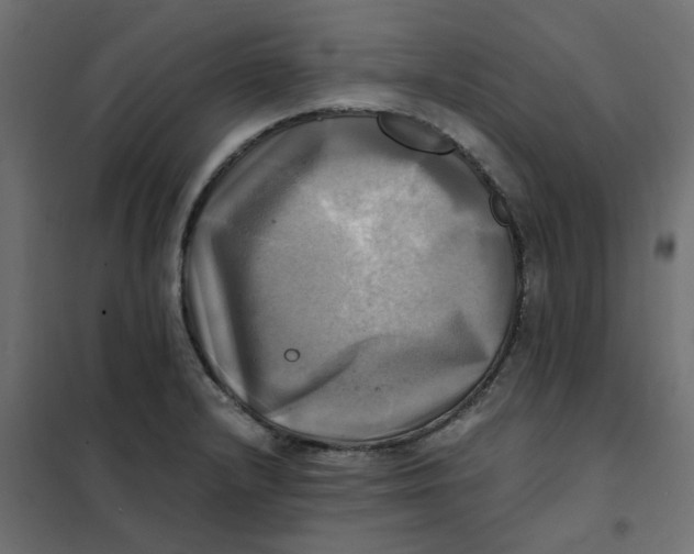 X0000102021232200808081740