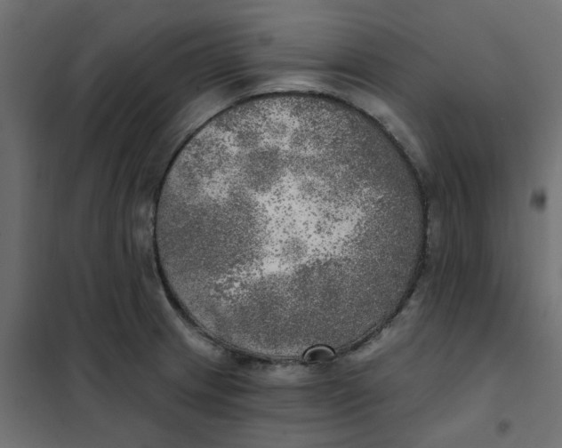 X0000102021233200808081740