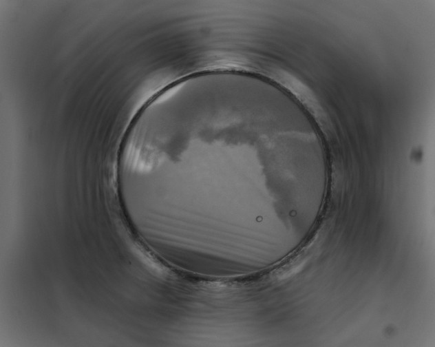 X0000102021234200808081740