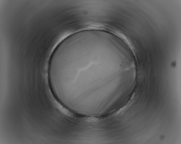 X0000102021235200808081740