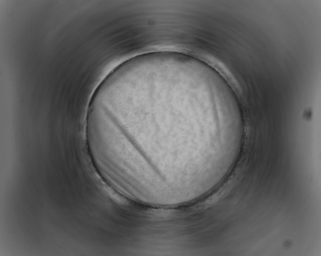 X0000102021236200808081740