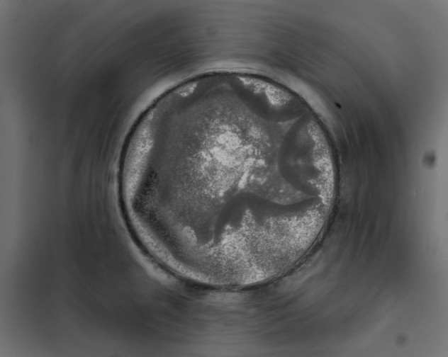 X0000102021237200808081740