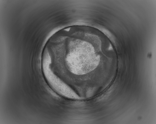 X0000102021238200808081740