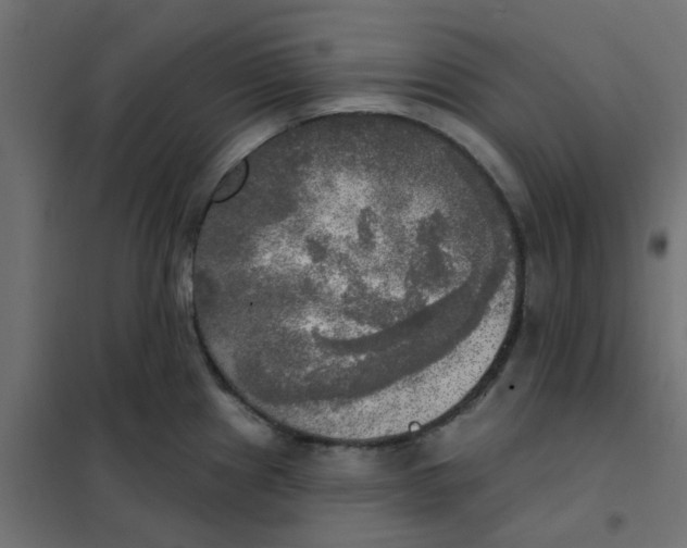 X0000102021241200808081740