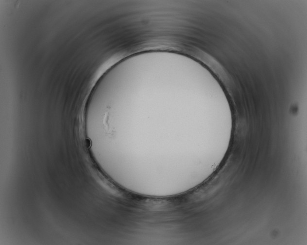 X0000102021242200808081741