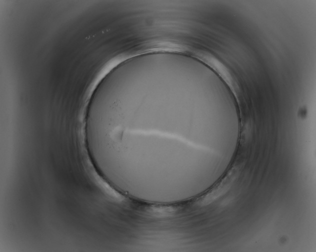 X0000102021243200808081741