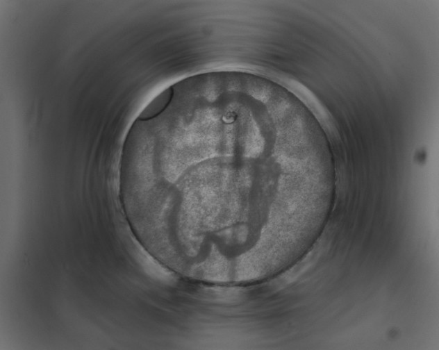 X0000102021244200808081741