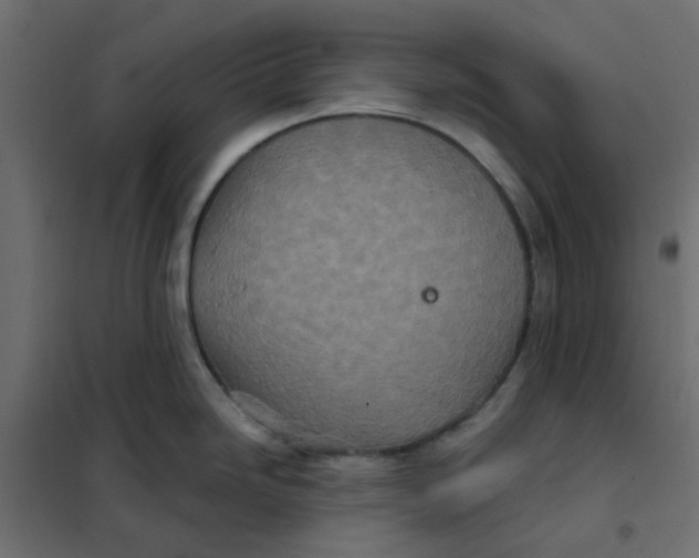 X0000102021246200808081741