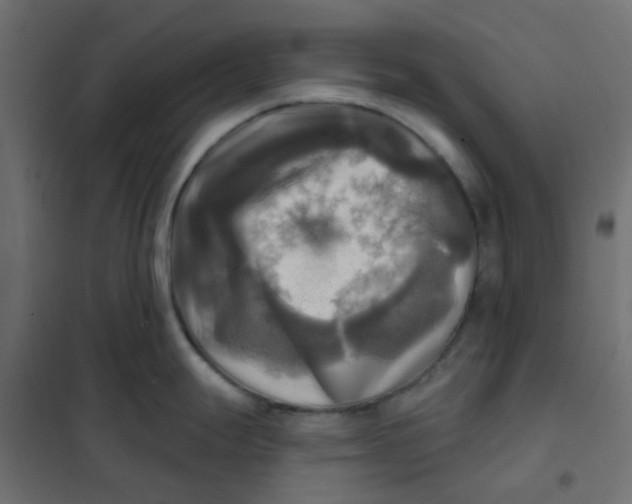 X0000102021247200808081741