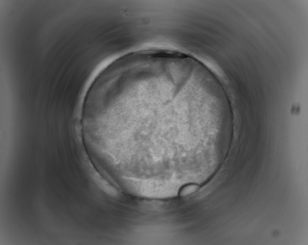 X0000102021248200808081741