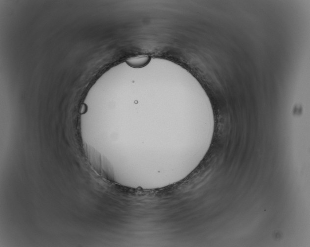 X0000102021249200808081740