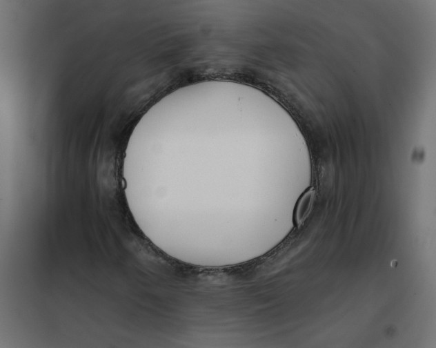 X0000102021250200808081740