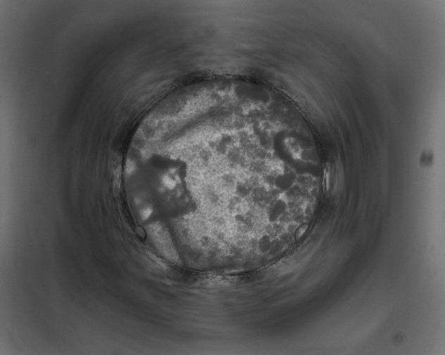X0000102021251200808081740