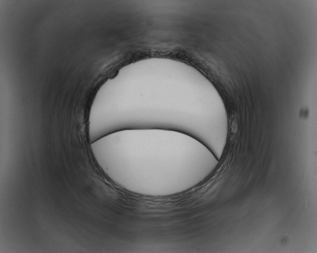 X0000102021252200808081740