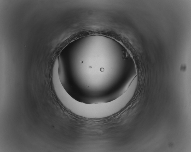 X0000102021253200808081740