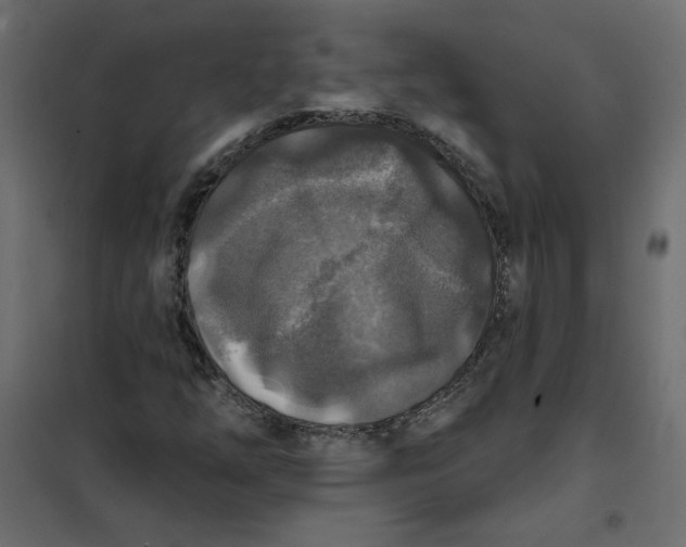 X0000102021254200808081740