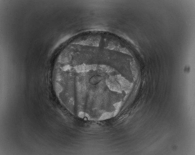 X0000102021255200808081740