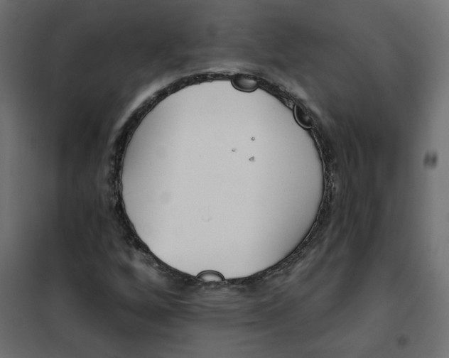 X0000102021256200808081740