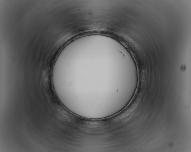 X0000102021257200808081740