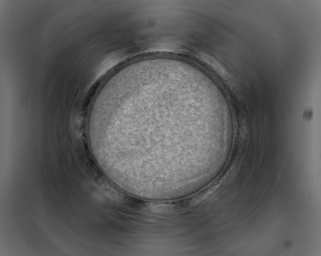 X0000102021258200808081740