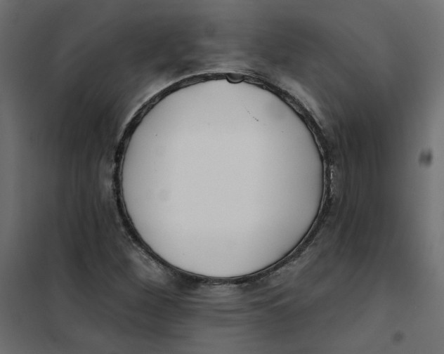 X0000102021260200808081740