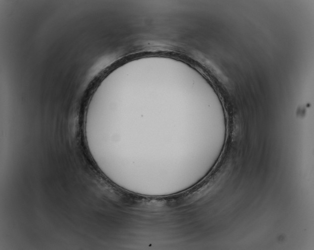 X0000102021261200808081740