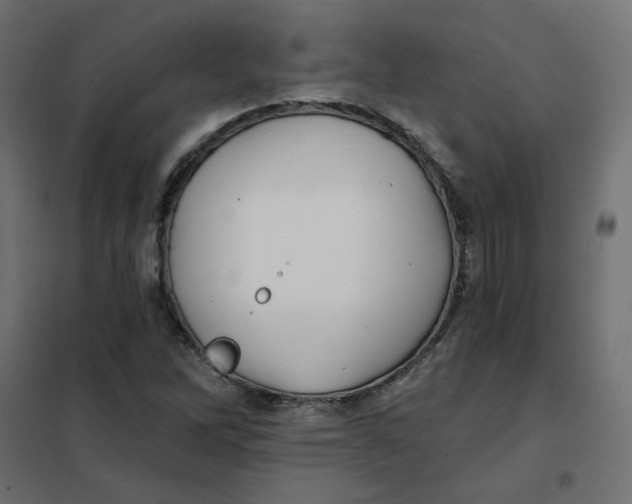 X0000102021262200808081740
