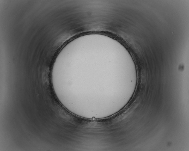 X0000102021265200808081740