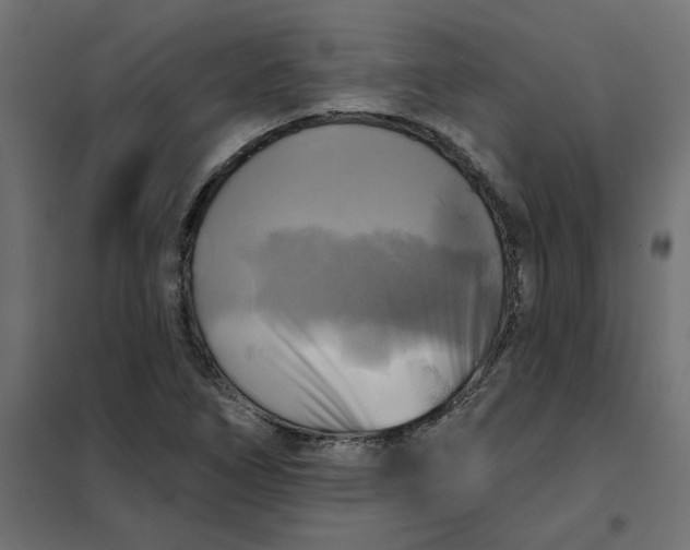 X0000102021266200808081740