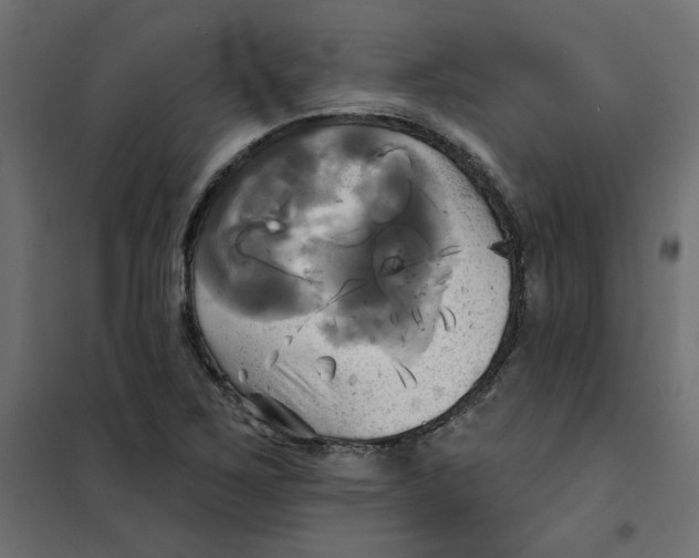 X0000102021267200808081740