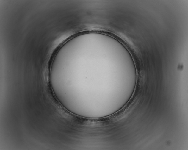 X0000102021269200808081740
