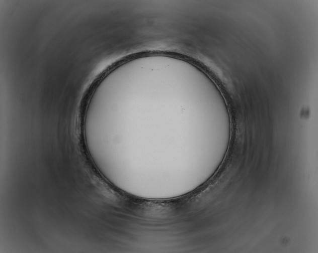X0000102021270200808081740
