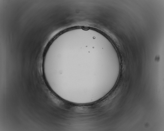 X0000102021272200808081740