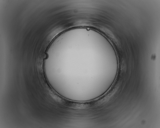 X0000102021273200808081740