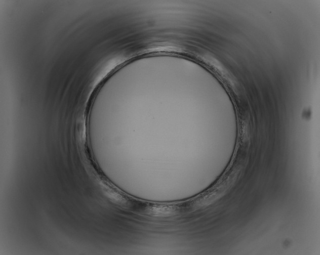 X0000102021274200808081739