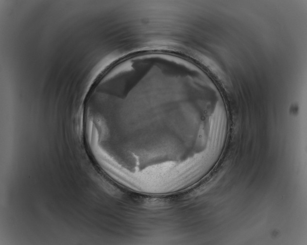 X0000102021275200808081739