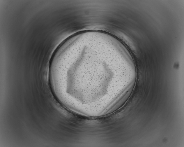 X0000102021276200808081739