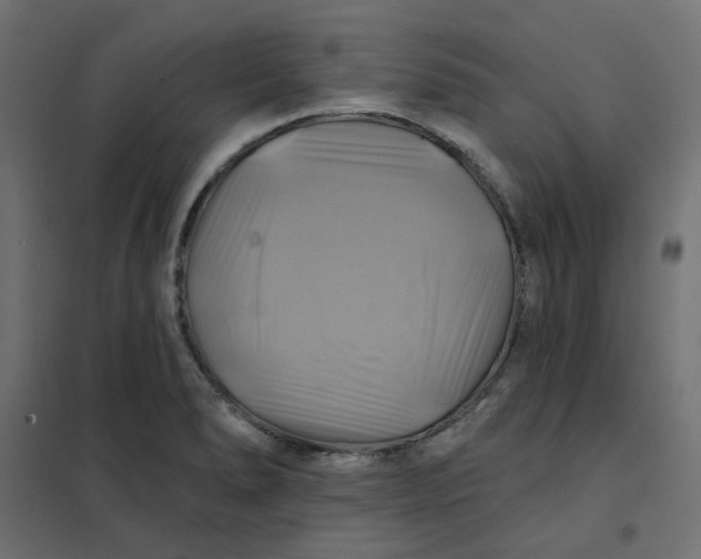 X0000102021278200808081739