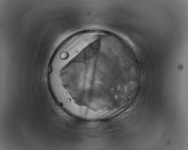 X0000102021279200808081739