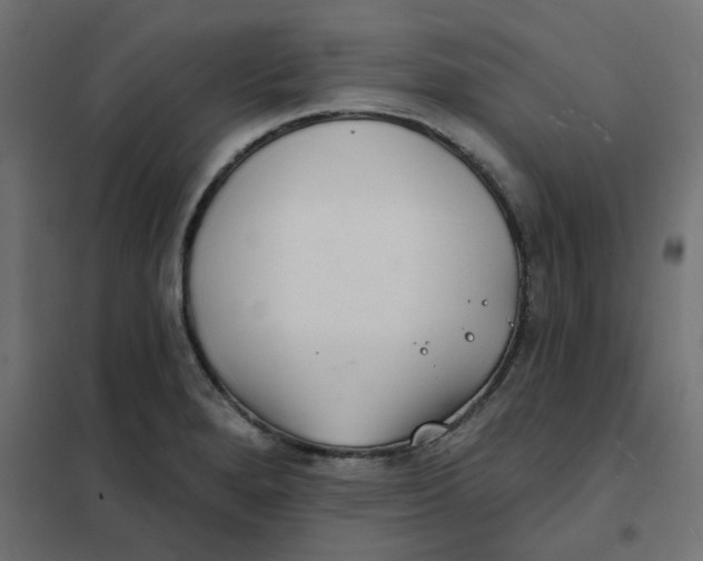 X0000102021280200808081739